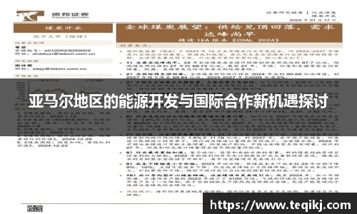 亚马尔地区的能源开发与国际合作新机遇探讨