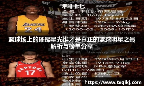 篮球场上的璀璨星光谁才是真正的篮球明星之最解析与榜单分享
